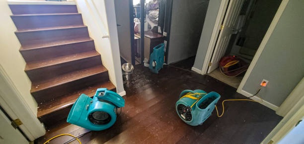 Water damage restoration insurance claims in Baileys Crossroads, VA