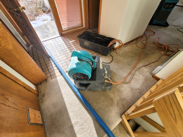 Best Professional water damage repair  in Baileys Crossroads, VA