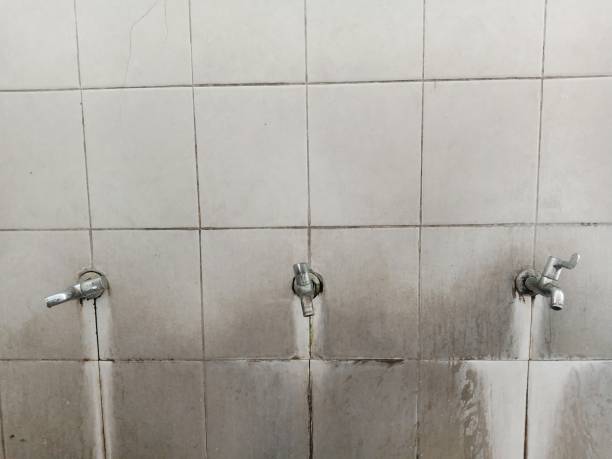 Best 24-hour water damage restoration  in Baileys Crossroads, VA
