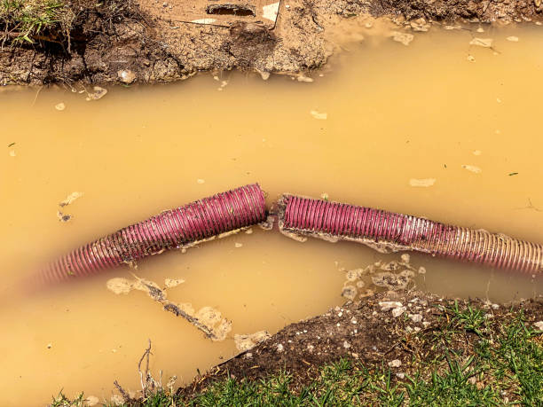  Baileys Crossroads, VA Water damage restoration Pros